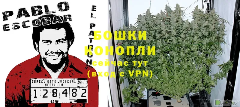 ссылка на мегу tor  Калач-на-Дону  Шишки марихуана SATIVA & INDICA  купить наркотик 